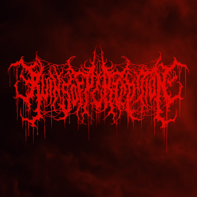 logo Ruins Of Perception